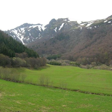 Le Monne Villa Chambon-sur-Lac Buitenkant foto