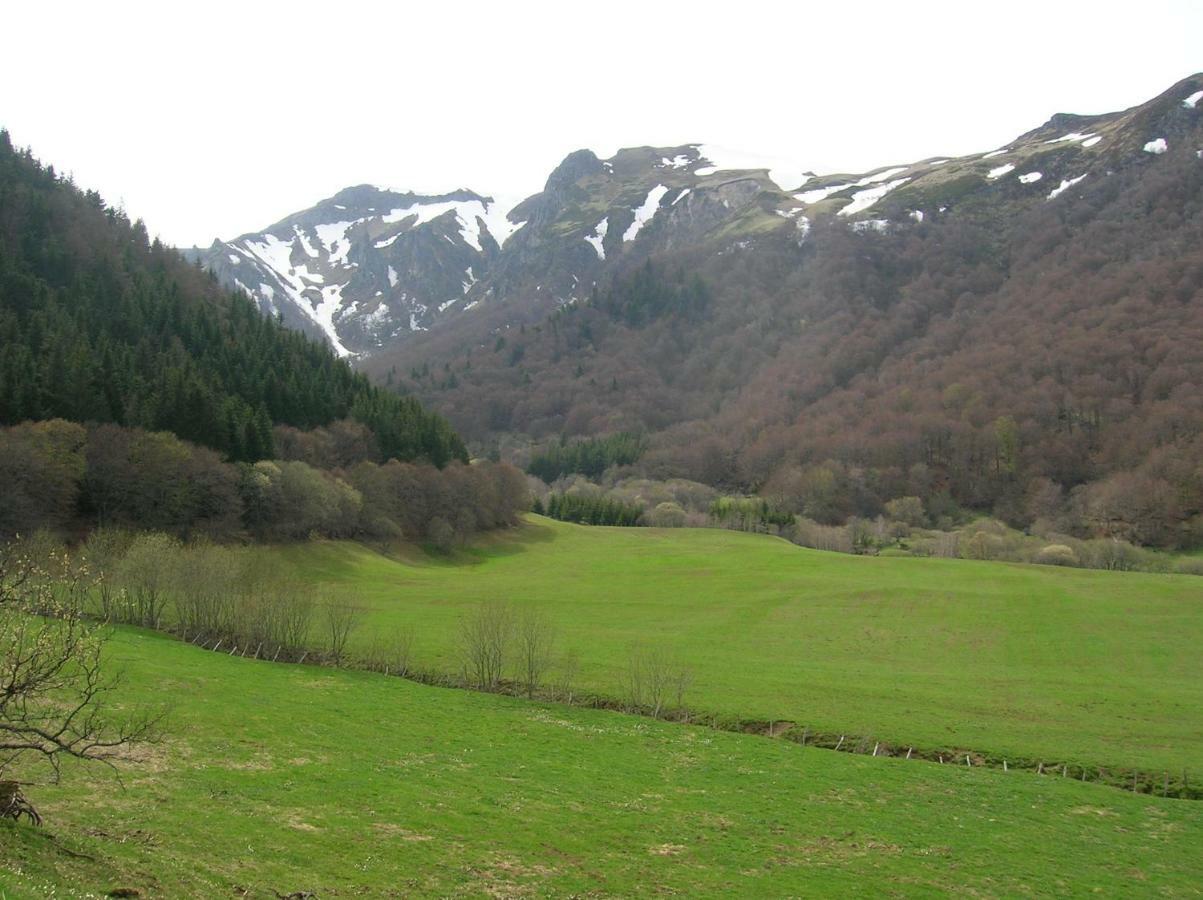 Le Monne Villa Chambon-sur-Lac Buitenkant foto